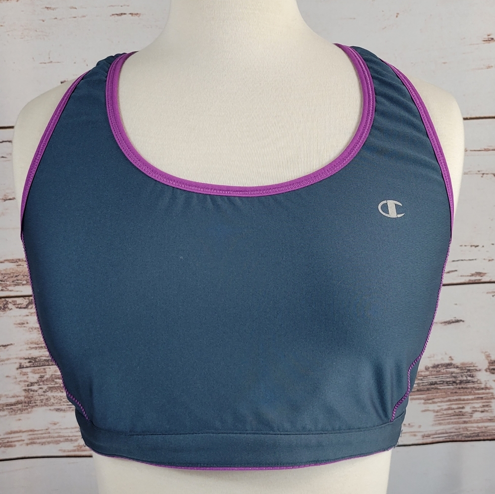 Champion Navy Blue and Purple Sports Bra